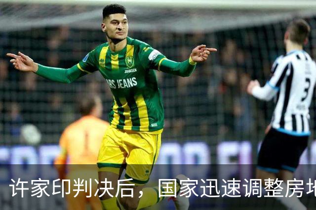 许家印判决后，国家迅速调整房地产销售政策背后的深意